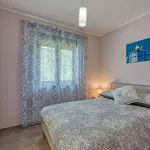 Alba With Private Pool * Lupoglav (Istria)